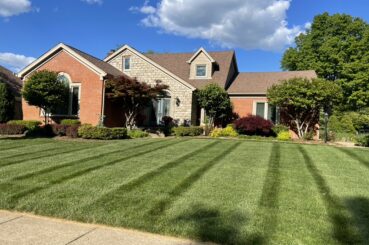 Residential Mowing Services